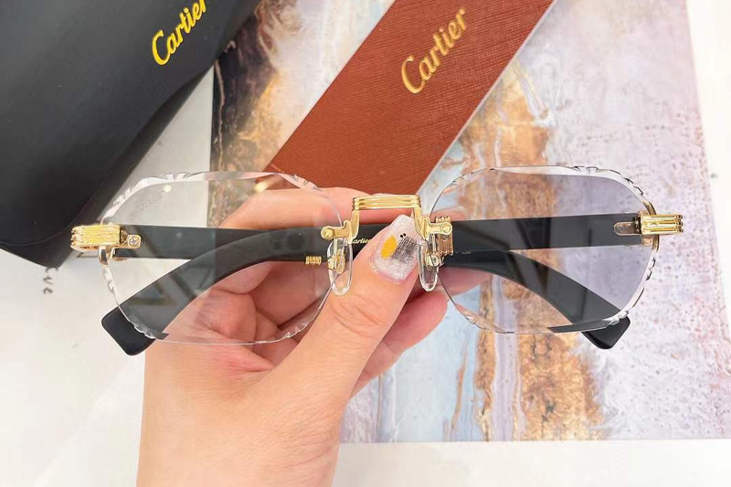 CT0533S Sunglasses Gold Black Photochromic Gray