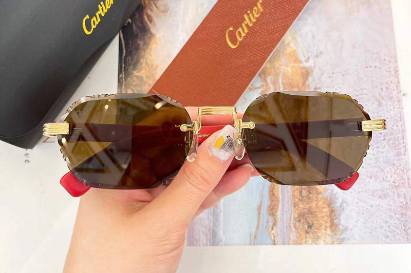 CT0533S Sunglasses Gold Red Brown