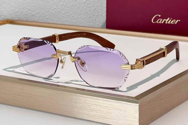 CT0533S Sunglasses Gold Red Gradient Purple