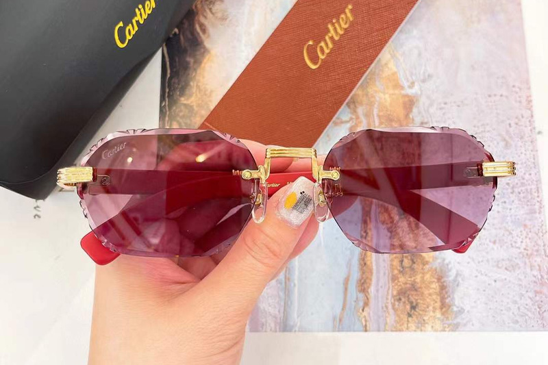 CT0533S Sunglasses Gold Red Gradient Purple