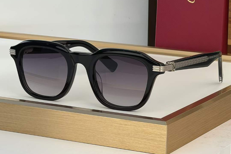 CT0536S Sunglasses Black Silver Gradient Gray