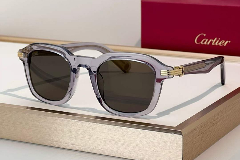 CT0536S Sunglasses Gray Gray