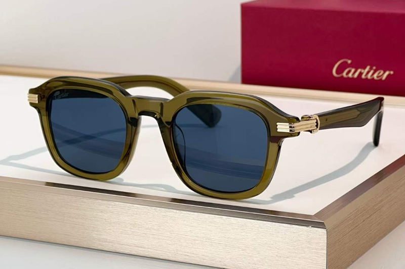 CT0536S Sunglasses Green Blue