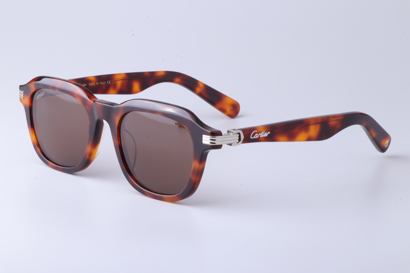 CT0536S Sunglasses Tortoise Brown