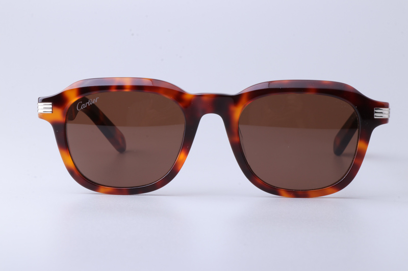 CT0536S Sunglasses Tortoise Brown
