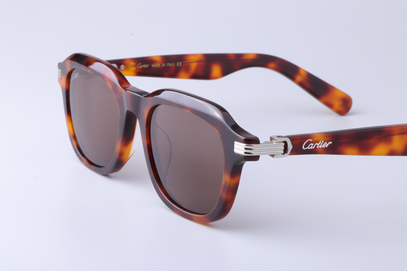 CT0536S Sunglasses Tortoise Brown