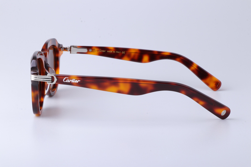 CT0536S Sunglasses Tortoise Brown