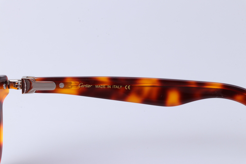 CT0536S Sunglasses Tortoise Brown