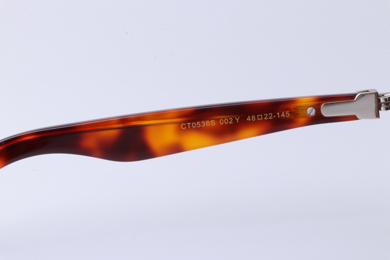 CT0536S Sunglasses Tortoise Brown