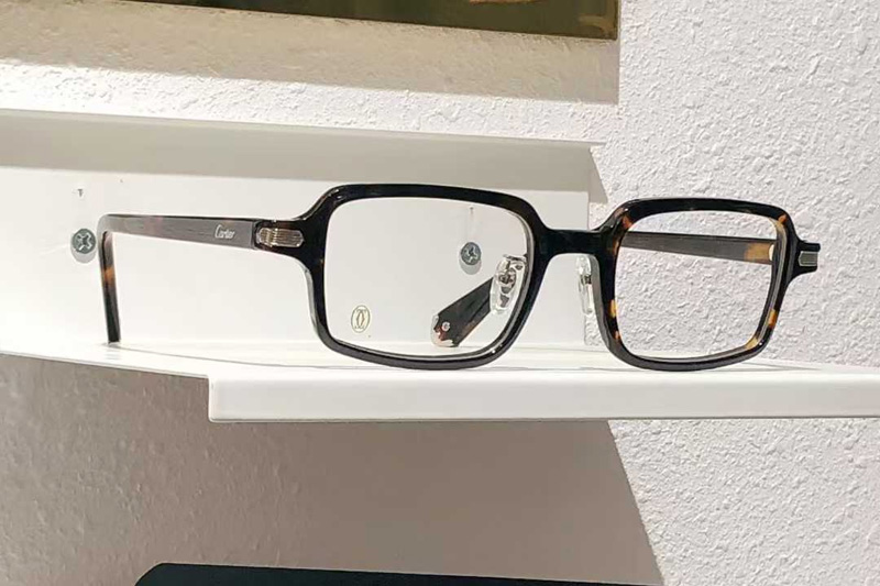 CT0539S Eyeglasses Tortoise
