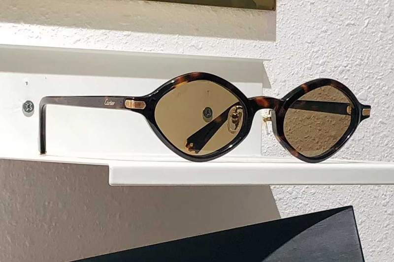 CT0540S Sunglasses Tortoise Brown