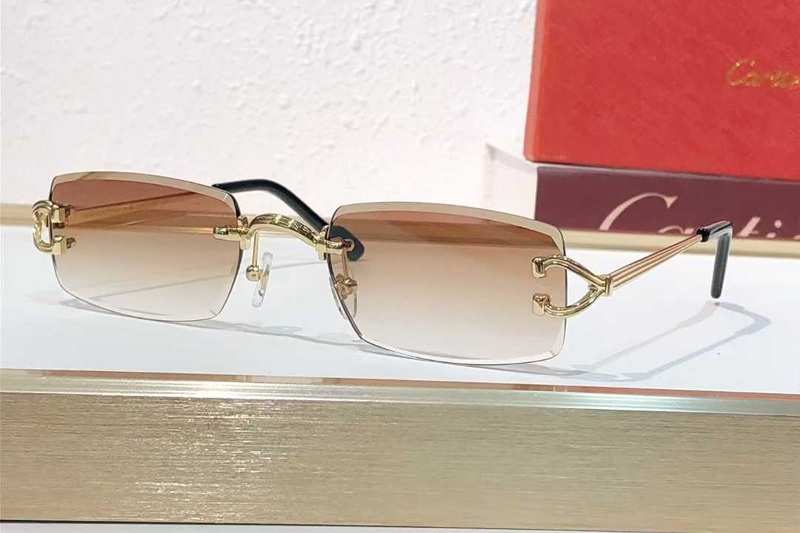 CT0550S Sunglasses Gold Gradient Brown