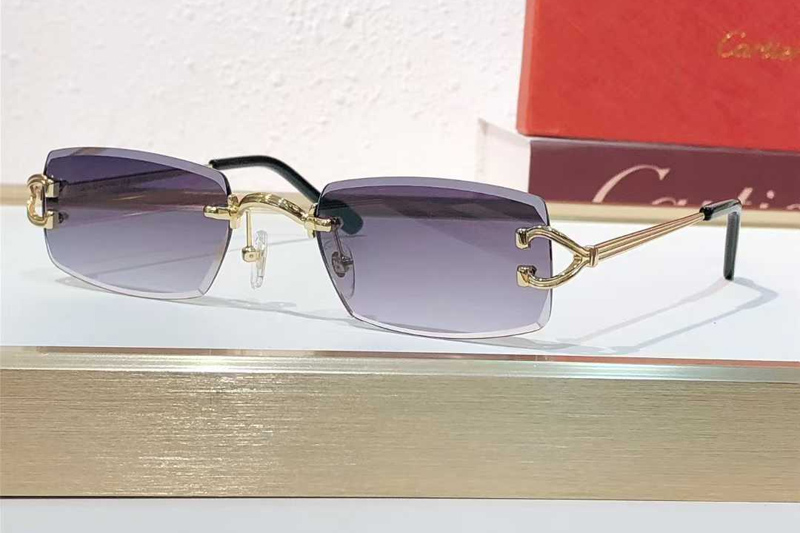 CT0550S Sunglasses Gold Gradient Gray
