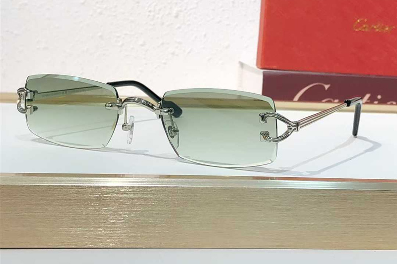 CT0550S Sunglasses Silver Gradient Green