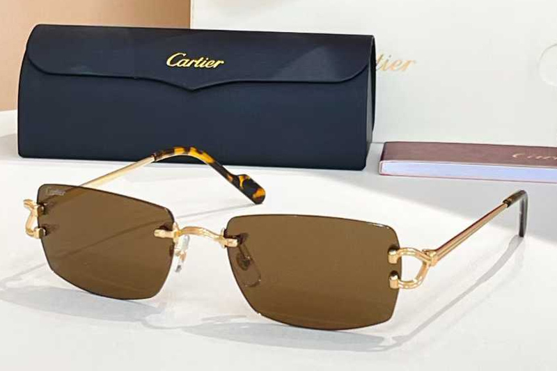 CT0563O Sunglasses Gold Brown
