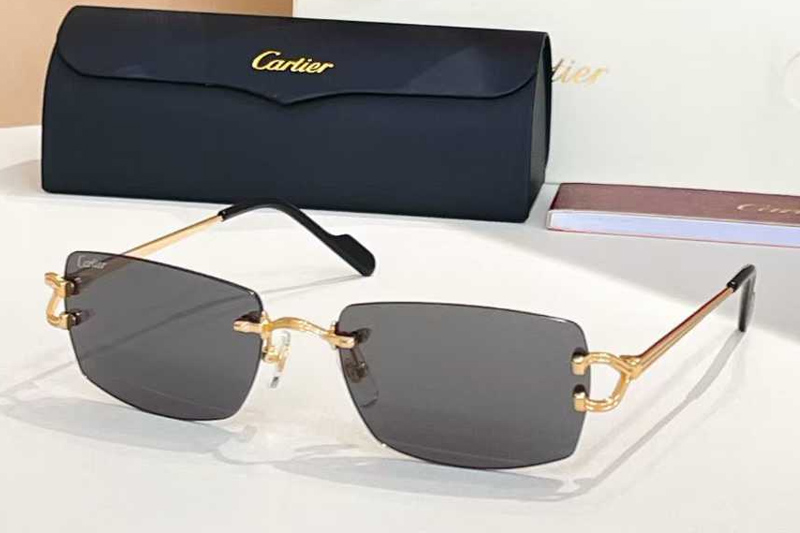 CT0563O Sunglasses Gold Gray