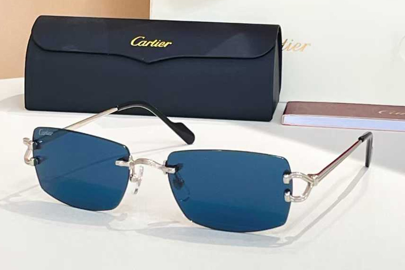 CT0563O Sunglasses Silver Blue