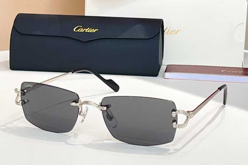 CT0563O Sunglasses Silver Gray