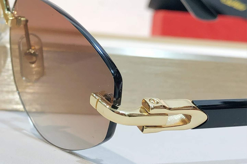 CT0580S Sunglasses Gold Black Gradient Brown