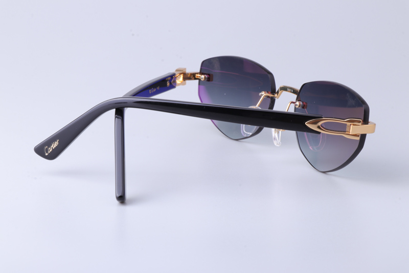 CT0580S Sunglasses Gold Black Gray
