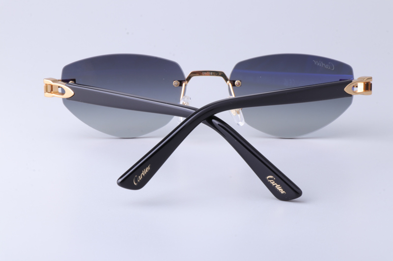 CT0580S Sunglasses Gold Black Gray