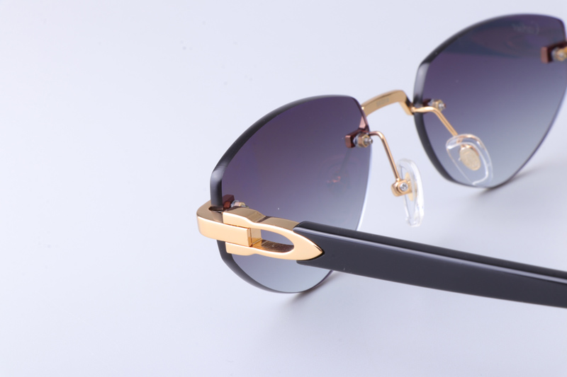 CT0580S Sunglasses Gold Black Gray