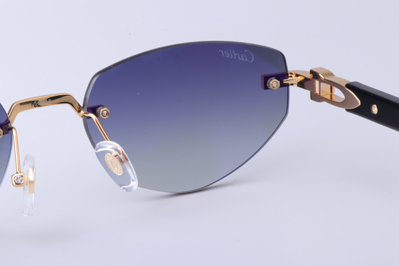 CT0580S Sunglasses Gold Black Gray