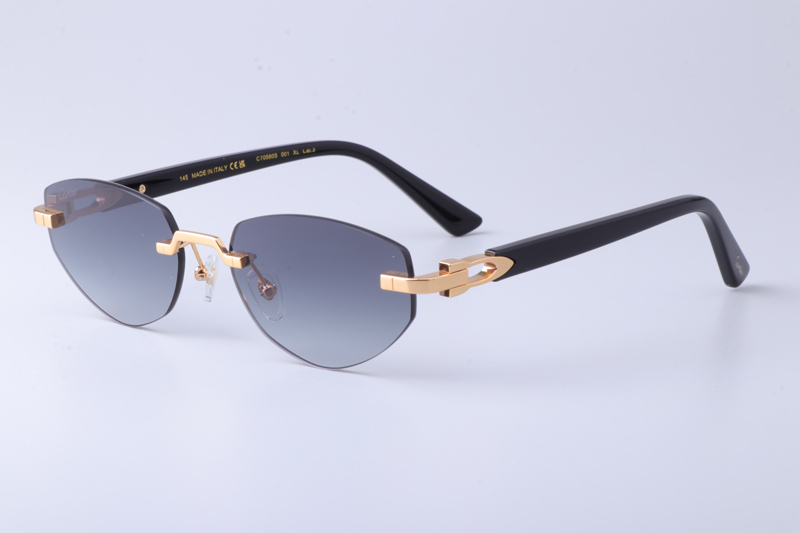 CT0580S Sunglasses Gold Black Gray