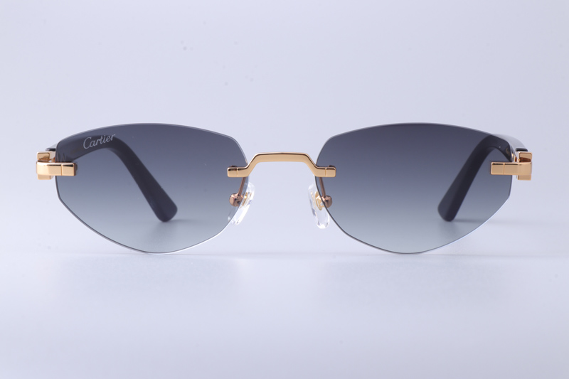 CT0580S Sunglasses Gold Black Gray