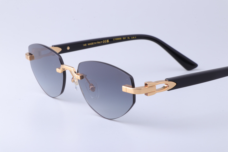 CT0580S Sunglasses Gold Black Gray