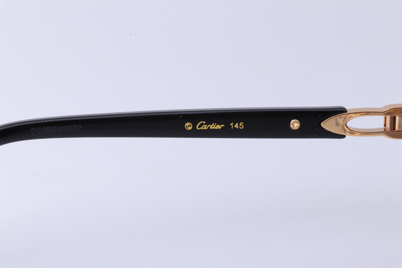 CT0580S Sunglasses Gold Black Gray