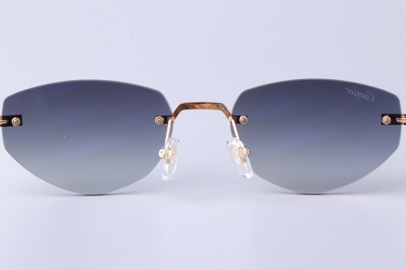 CT0580S Sunglasses Gold Black Gray