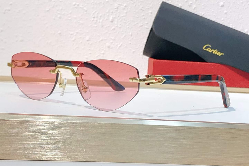 CT0580S Sunglasses Gold Red Pink