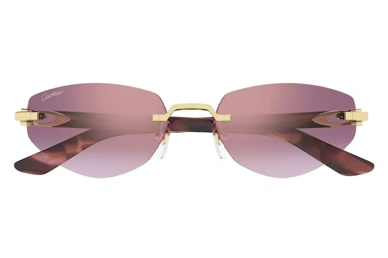 CT0580S Sunglasses Gold Red Pink