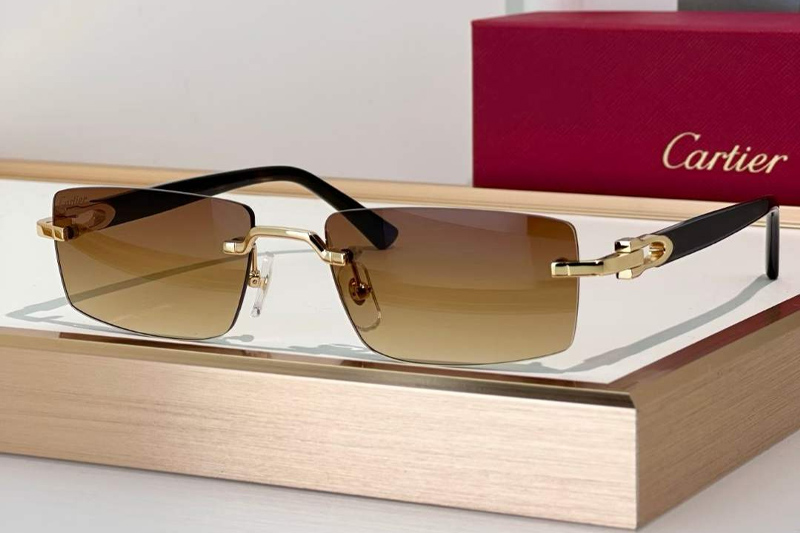 CT0581O Sunglasses Gold Gradient Brown
