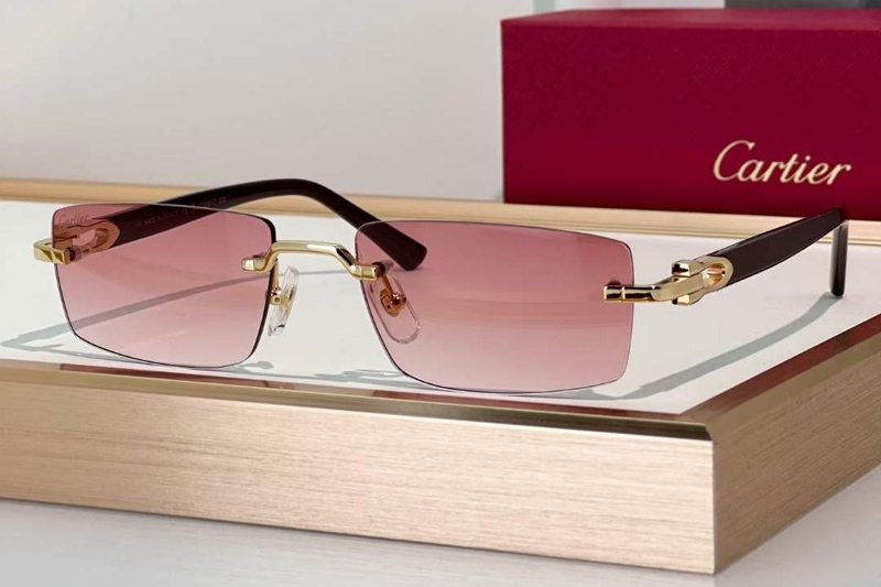 CT0581O Sunglasses Gold Gradient Pink