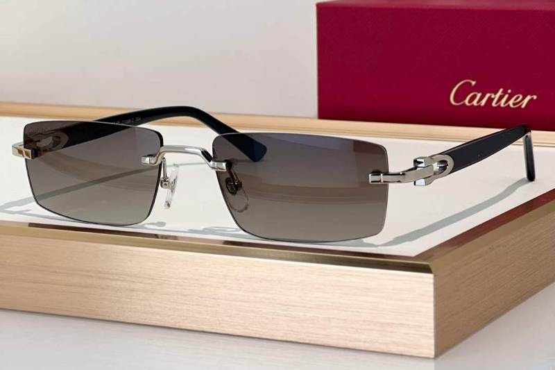 CT0581O Sunglasses Silver Gradient Gray