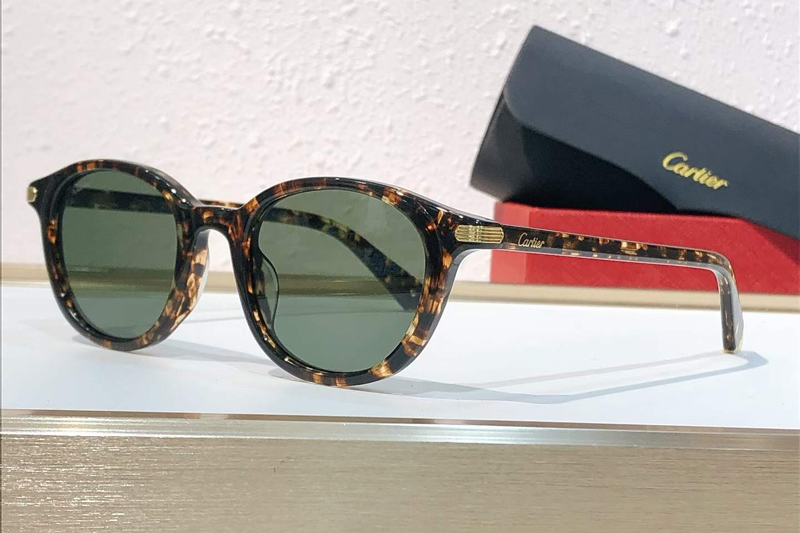 CT0584S Sunglasses Tortoise Green