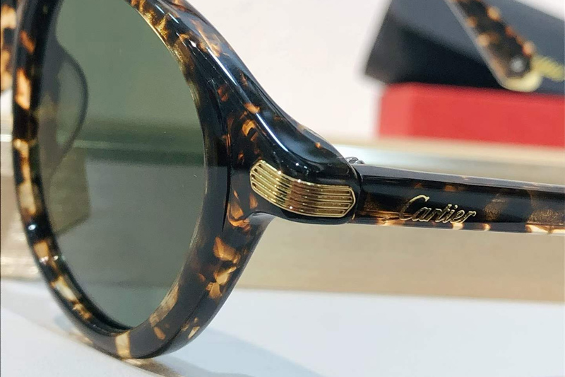 CT0584S Sunglasses Tortoise Green