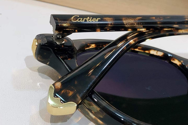 CT0584S Sunglasses Tortoise Green