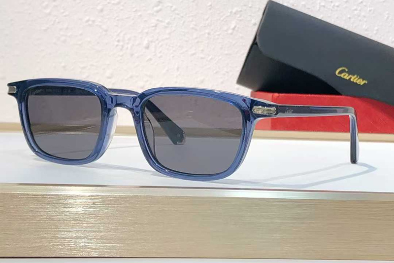 CT0586S Sunglasses Blue Gray