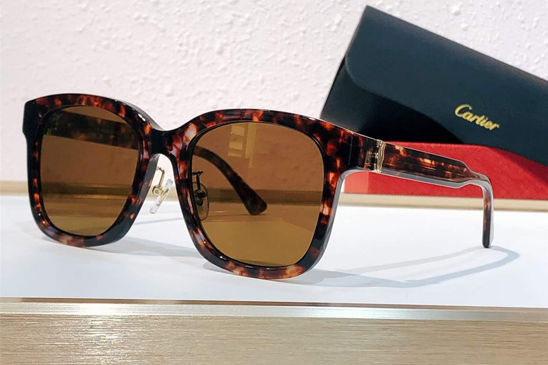 CT0589SA Sunglasses Tortoise Brown