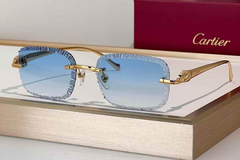 CT06591J Sunglasses Gold Gradient Blue