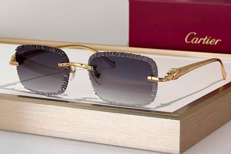 CT06591J Sunglasses Gold Gradient Gray