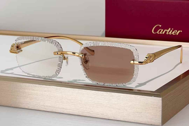 CT06591J Sunglasses Gold Photochromic Brown
