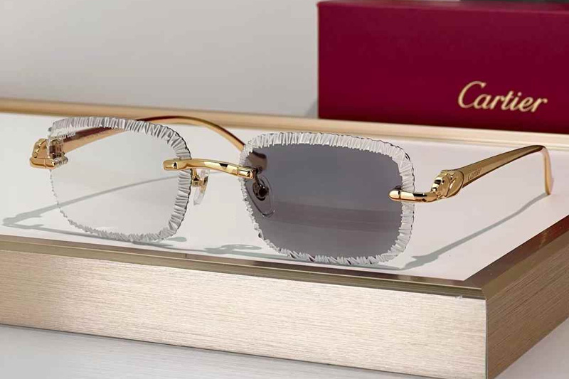 CT06591J Sunglasses Gold Photochromic Gray
