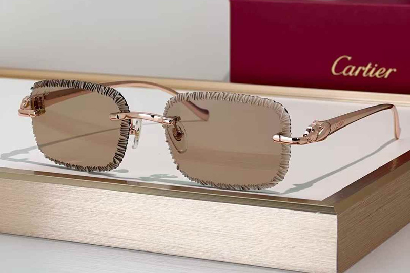 CT06591J Sunglasses Rose Gold Brown