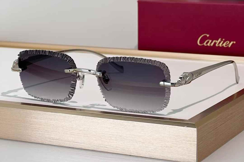 CT06591J Sunglasses Silver Gradient Gray