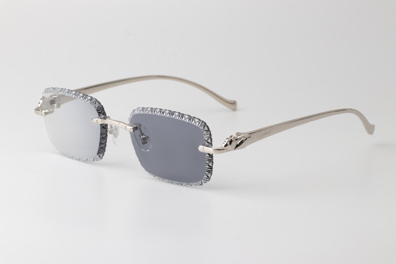 CT06591J Sunglasses Silver Photochromic Gray