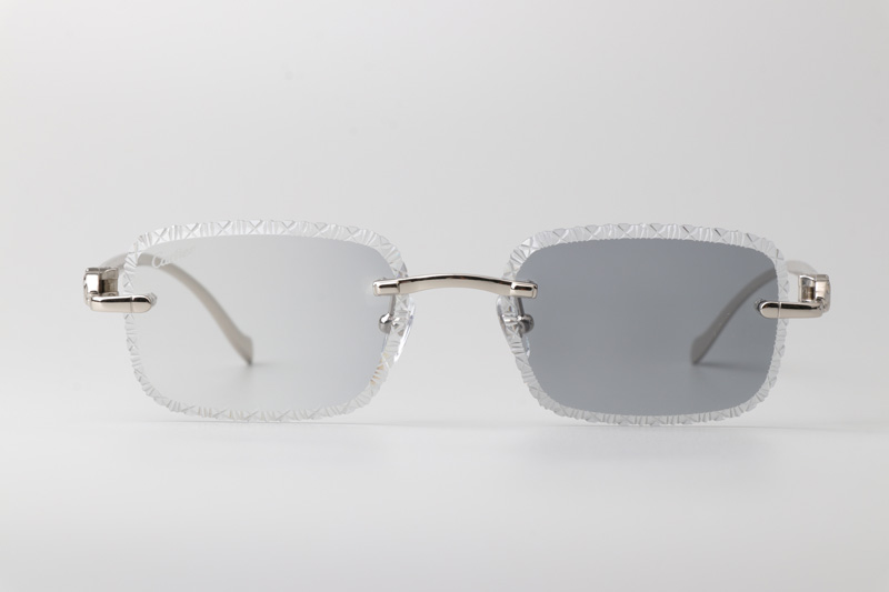 CT06591J Sunglasses Silver Photochromic Gray